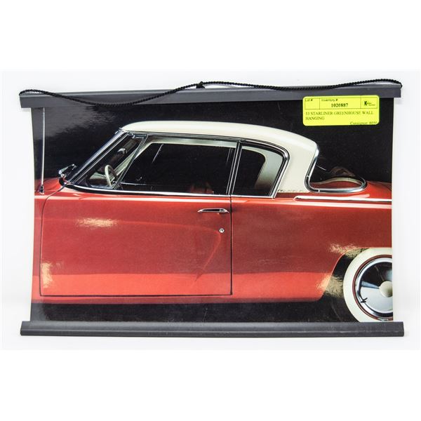 53 STARLINER GREENHOUSE WALL HANGING