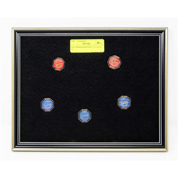 SDC MEMBERSHIP PINS - 10 15 20 25 30