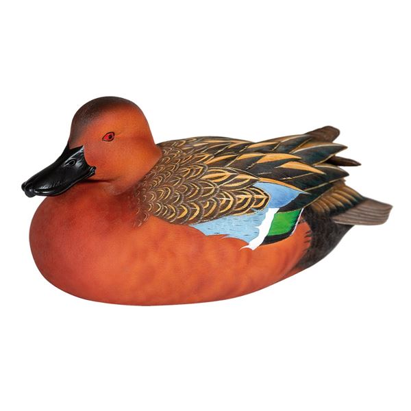 Cinnamon Teal Decoy