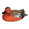 Image 1 : Cinnamon Teal Decoy