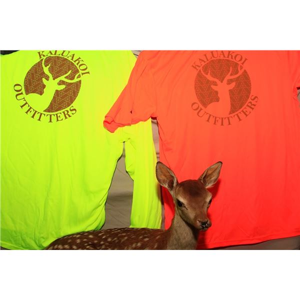 Set of (2) Kaluakoi Outfitters (KO) Dri-Fit Shirts-Green/Orange