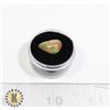 Image 1 : 3.0 CARAT POLISHED WELO PRECIOUS OPAL