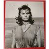 Image 1 : SOPHIA LOREN VINTAGE PHOTO.