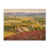 Image 1 : Sam Park, "Tuscany Red Poppies" Hand Embellished Limited Edition Serigraph on Ca