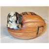 Image 1 : 1959 COCKER SPANIEL PUPPY in a FOOTBALL #1801398