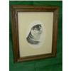 Image 1 : Framed Otter Print Signed by Richard G. Lowe #1801425