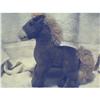 Image 1 : HORSE BY **STEIFF** #1801665