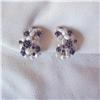 Image 1 : 60's BIG CLUSTER SAPP/14K/BAROQUE PEARL EARRING#1814935