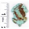 Image 10 : Zuni Carved Turquoise Horned Toad Fetish, Cheama