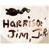 Image 9 : Hopi Frog & Tadpole Pottery Jar, Harrison Jim, Jr.