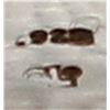Image 6 : Sterling Channel Overlay Ring, Size 6.5
