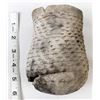 Image 8 : Prehistoric Native American Pottery Pitcher