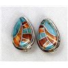 Image 1 : Zuni Sterling Multi-Stone Channel Inlay Earrings