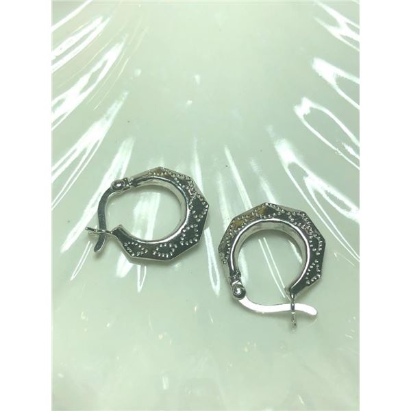 Silver Hoop Earrings, Suggested Retail Value $50