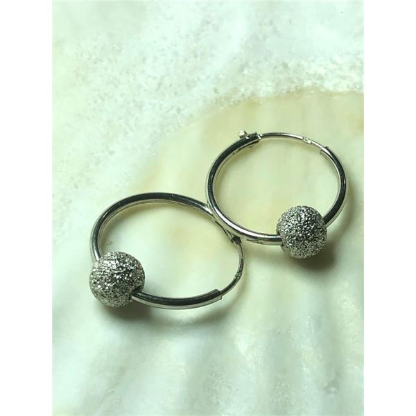 Silver Hoop Earrings, Suggested Retail Value $80