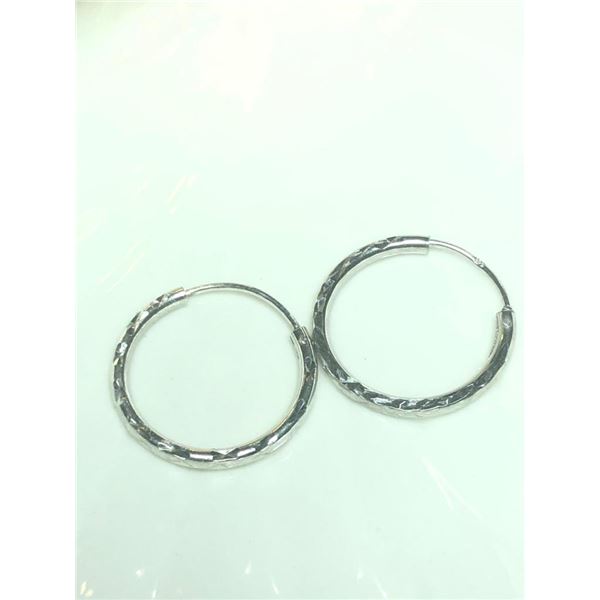 Silver Hoop Earrings, Suggested Retail Value $50