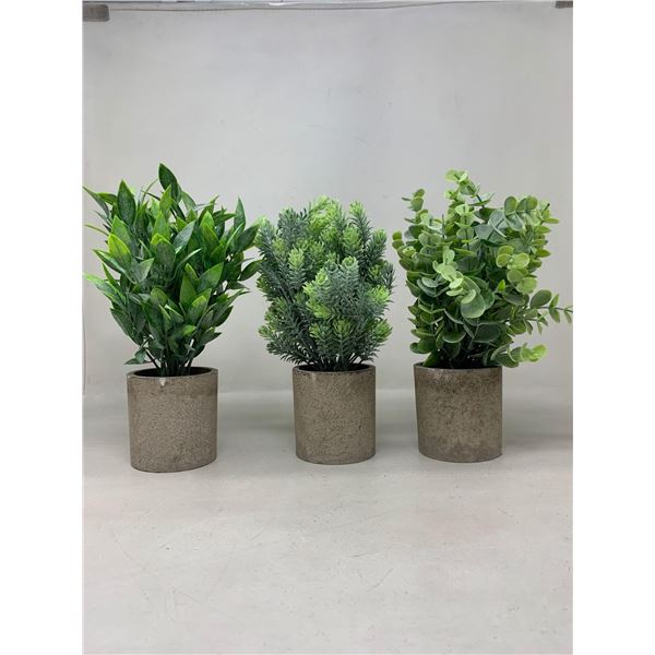 3 green potted succulent plants