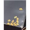 Image 1 : 10 pcs Alaska Natural PURE gold - 0.5-1mm  Placer Gold