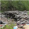 Image 1 : LARGE LOT OF SLAB LUMBER, 3 PLUS PILES