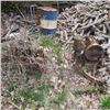 Image 2 : LOT OF MISC 3 WATER PUMPS,45 GAL DRUMS ETC