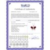 Image 2 : Genuine 10.60 ctw Ruby & Diamond Necklace 14KT Rose Gold - REF-181W9Y