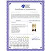 Image 2 : Genuine 2.53 ctw Garnet & Diamond Earrings 14KT Yellow Gold - REF-60F4Z