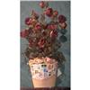 Image 1 : Flower Arrangement #1796625