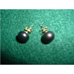 14K pearl stud earrings #1798361