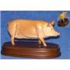 Image 1 : Royal Doulton VietnamesePot Bellied Pig #1821330
