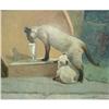 Image 1 : Vivian Milner Akers Oil Painting of Cats, 1960 #1831830