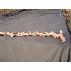 Walking cane made from boxwood root #1844736