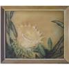 Image 1 : Freeman Cereus Painting c1945 #1844998