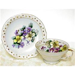 Shafford Hand Painted Cup & Saucer #1819544