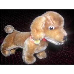 Steiff Hexie Dog with tag #1819956