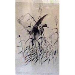 Duck Christmas Card by Dick Bishop, Framed #1820340