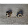 Rare Estate 14K YG Gold Sapphire Opal Earrings #1831351