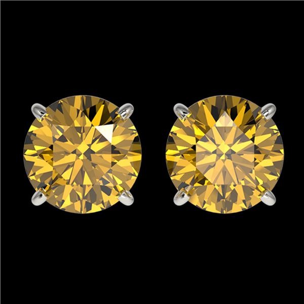 2 ctw Certified Intense Yellow Diamond Stud Earrings 10k White Gold - REF-294M5G