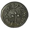 Image 2 : 66/70 AD Judaea First Revolt Silver Coin
