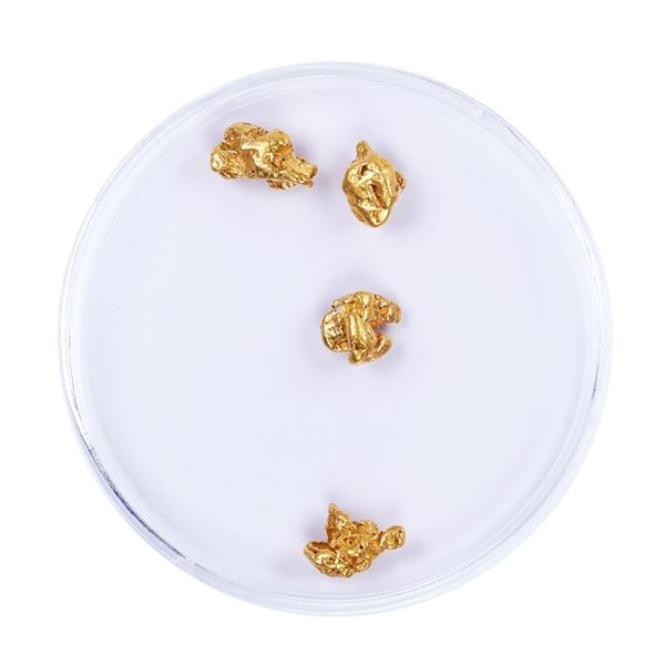 Lot of Gold Nuggets 2.69 grams Total Weight