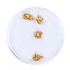 Image 1 : Lot of Gold Nuggets 2.69 grams Total Weight