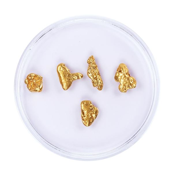 Lot of Gold Nuggets 2.94 grams Total Weight