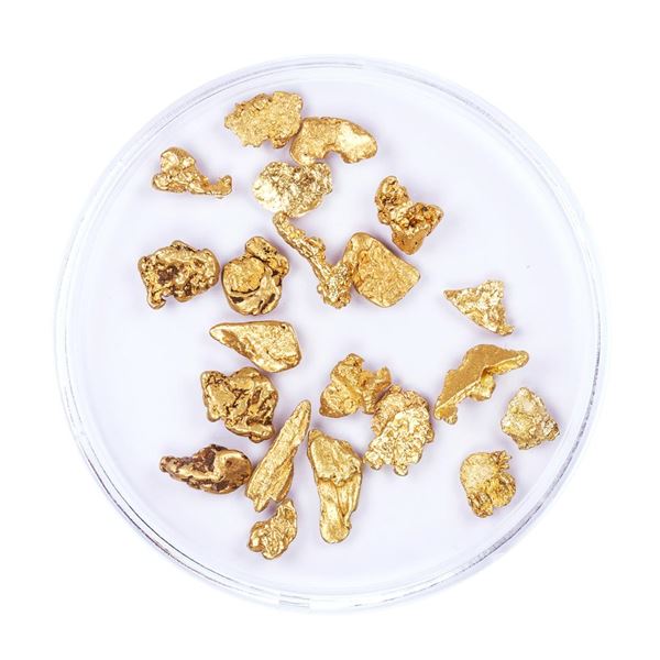Lot of Gold Nuggets 4.31 Grams Total Weight