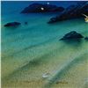 Image 3 : Wyland, "Island Paradise" Limited Edition Cibachrome, Numbered and Hand Signed w