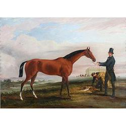 Portrait  of 'Malacca ' Winner of the Cambridge#1805339