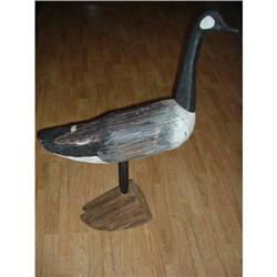 Canada Goose #1830166