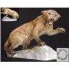 Image 1 : Beswick Model of a Puma on a Rock #1830210