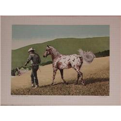 Mel Hunter, Appaloosa,  Signed Lithograph #1830535