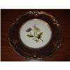 Image 1 : Paris Porcelain Botanical Plate #1842925