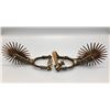 Image 3 : Pair of Antique Gaucho Spurs