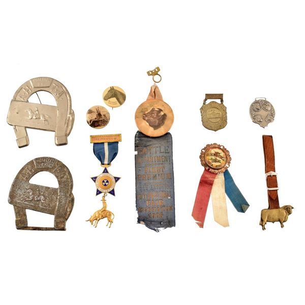Cattle & Livestock Convention Pins & Buttons